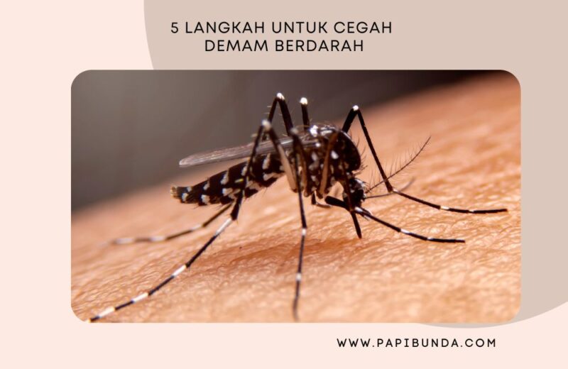 5 Langkah Untuk Cegah Demam Berdarah | Story Papi Bunda