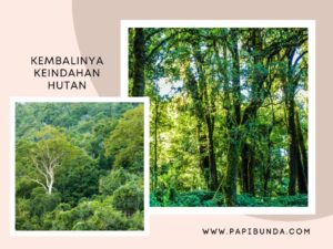 Kembalinya Keindahan Hutan di Gunung Lemongan