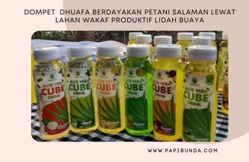 Dompet Dhuafa Berdayakan Petani Salaman Lewat Lahan Wakaf Produktif ...